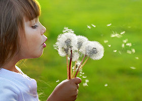 Allergy and Immunology Treatment