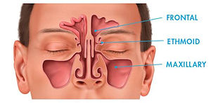 Allergy and Immunology Treatment