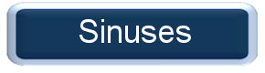 Sinuses